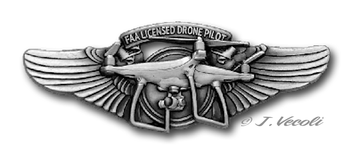 Drone Wing Pin